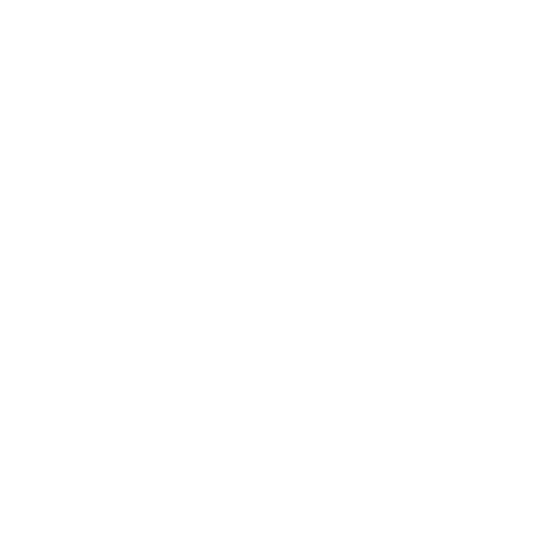 Boss PDX