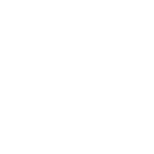 Del Toro