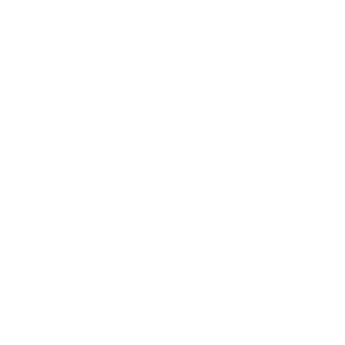 Fox's Lounge