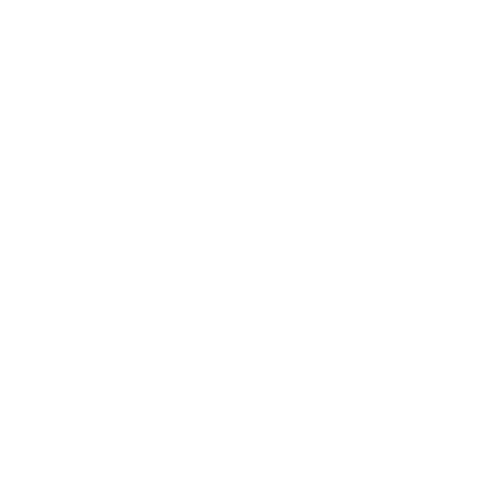 The Seller CPA